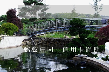 蚂蚁庄园 信用卡逾期 蚂蚁庄园 信用卡逾期